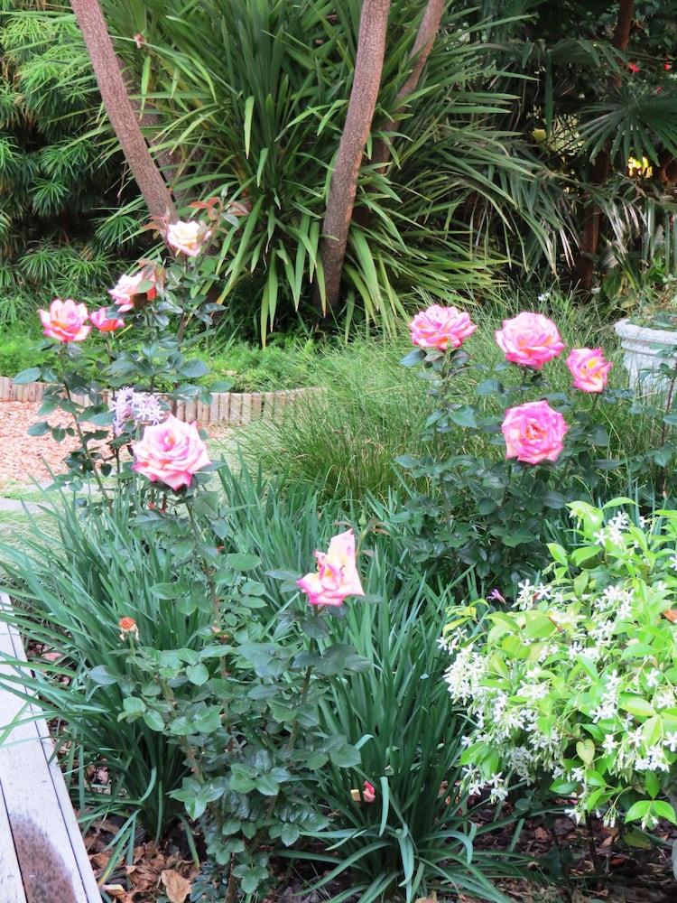 Maison Chablis Guest House Franschhoek Ngoại thất bức ảnh